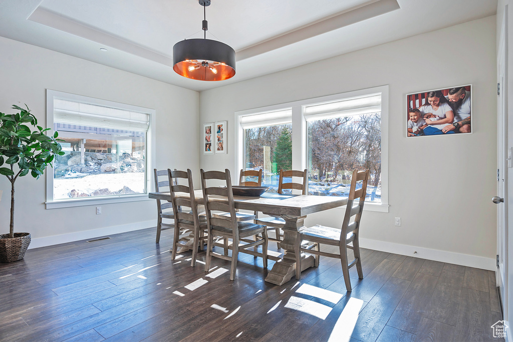 Dining space with dark hardwood / wood-style floors and a raised ceiling