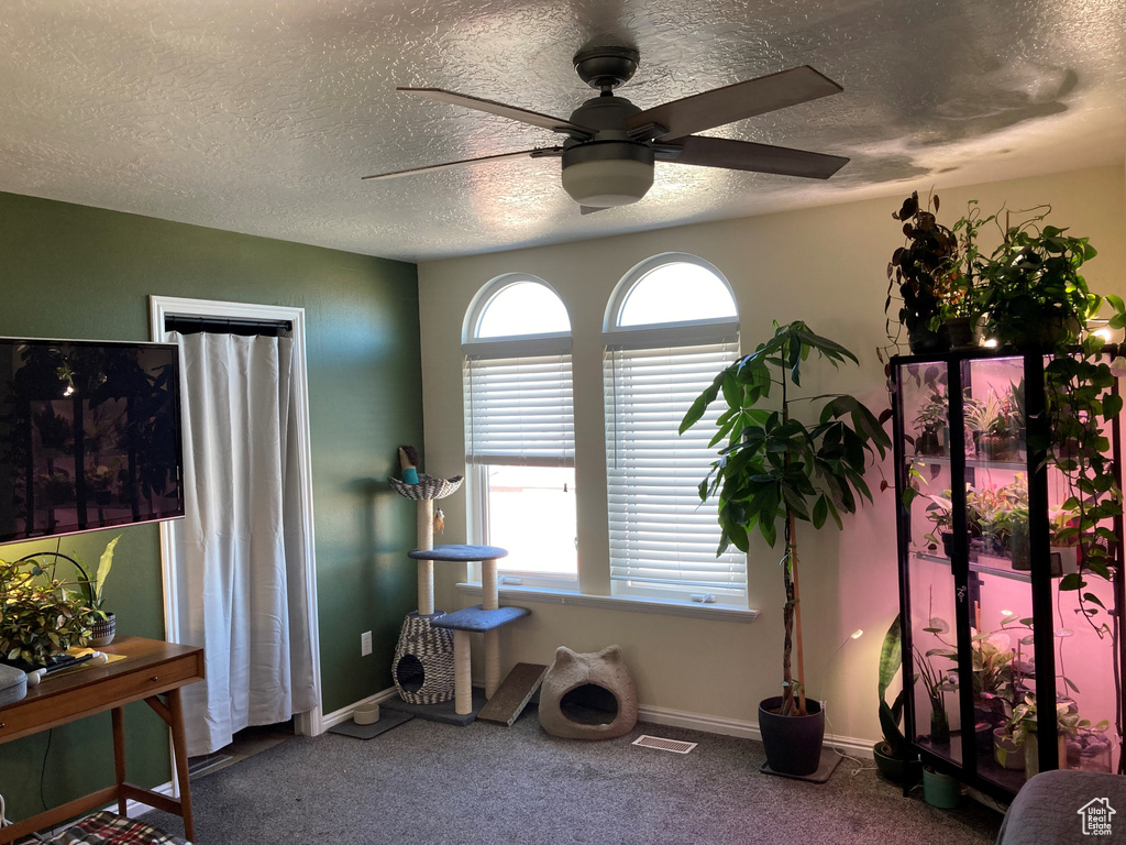 Misc room with ceiling fan, a healthy amount of sunlight, and a textured ceiling