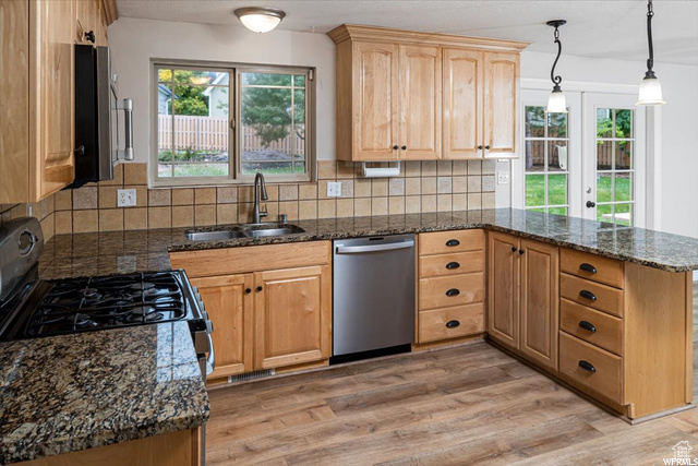Kitchen with backsplash, light hardwood / wood-style flooring, sink, and stainless steel dishwasher