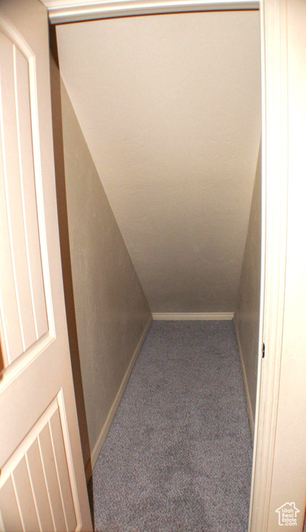 Interior space featuring carpet floors