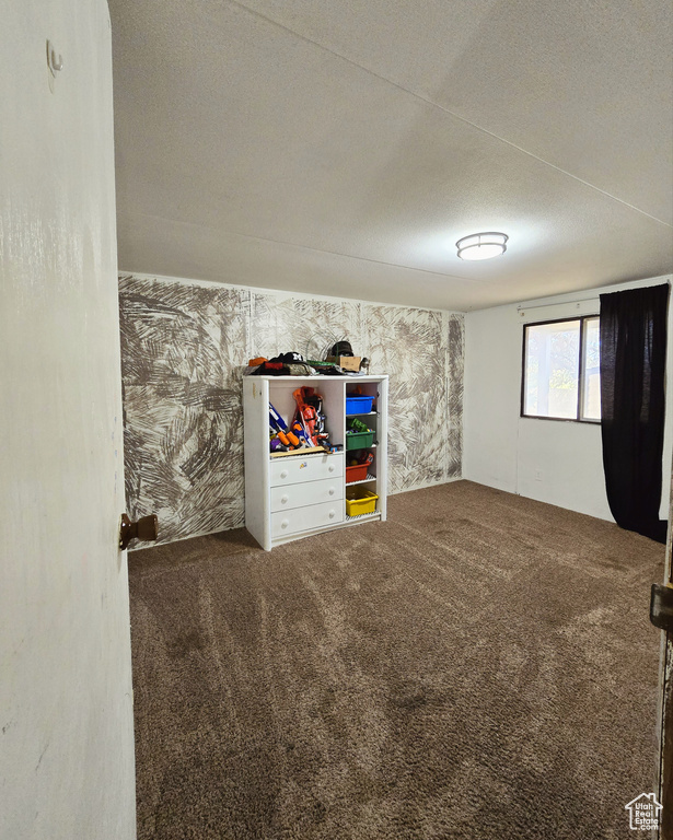 Basement with a textured ceiling and carpet floors