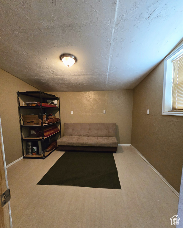 Interior space with vaulted ceiling, carpet floors, and a textured ceiling