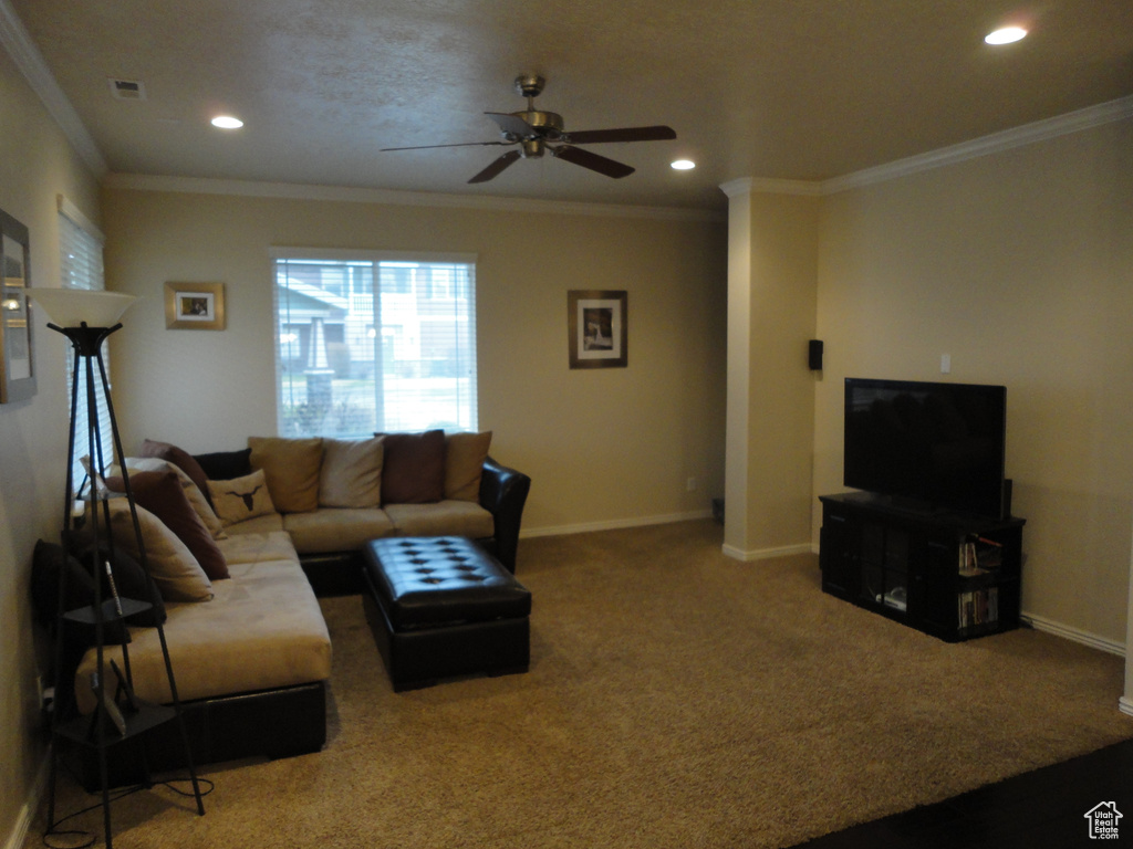 Living room featuring ornamental molding, ceiling fan, and carpet flooring