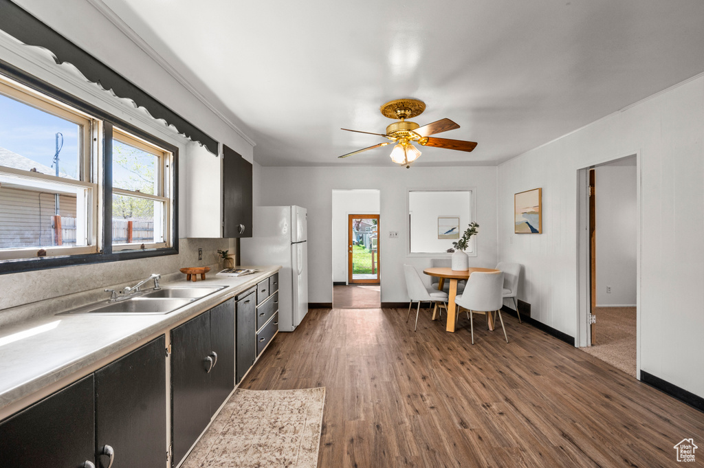 Kitchen featuring ceiling fan, tasteful backsplash, sink, dark hardwood / wood-style flooring, and white refrigerator