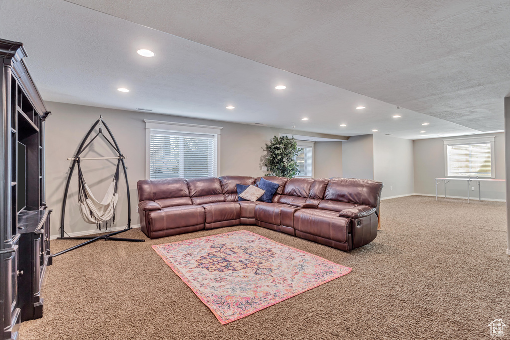 Carpeted living room with a textured ceiling