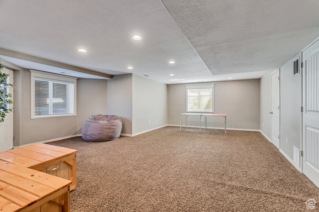 Basement featuring carpet floors and a textured ceiling