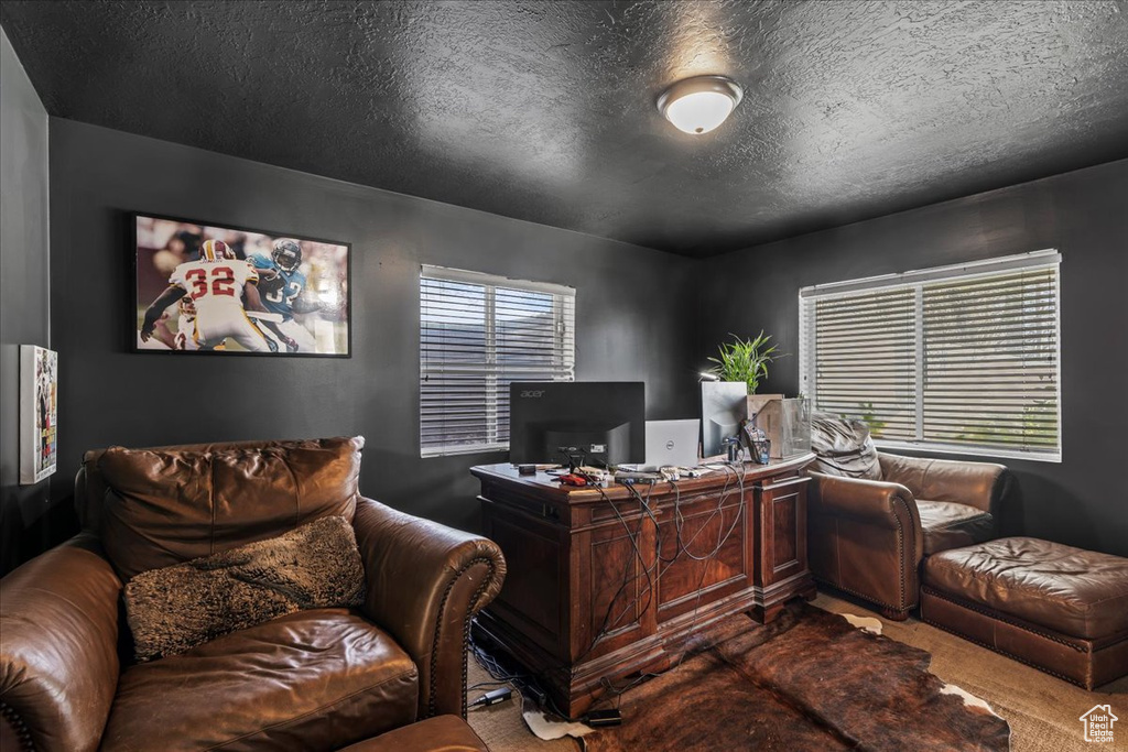 Office area with a healthy amount of sunlight, dark carpet, and a textured ceiling