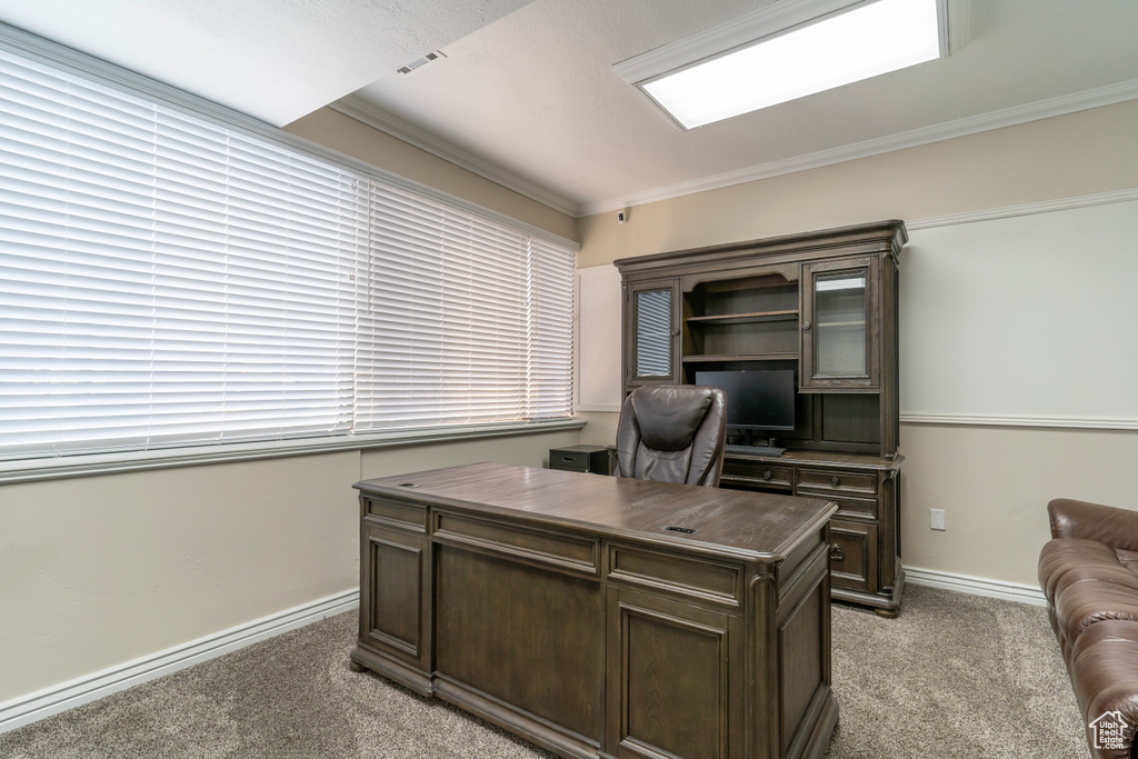 Carpeted home office featuring ornamental molding and plenty of natural light