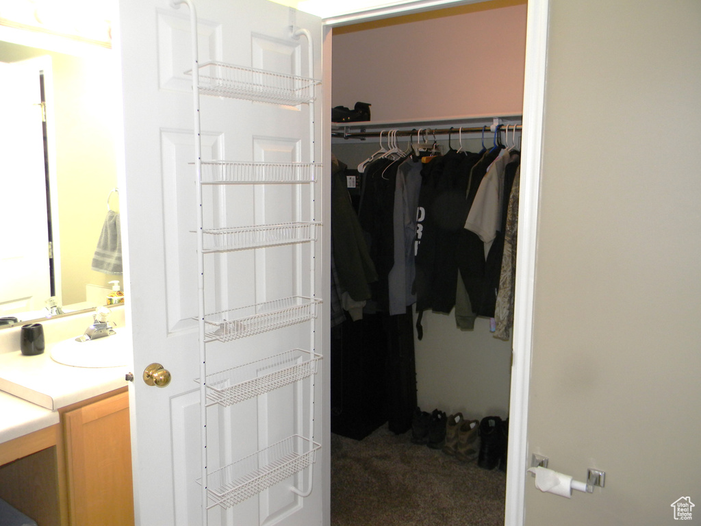 Closet with sink