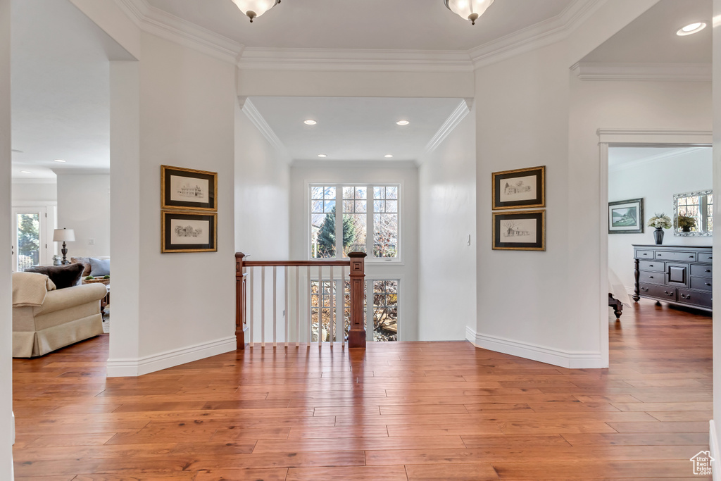 Corridor featuring light hardwood / wood-style flooring, crown molding, and a wealth of natural light