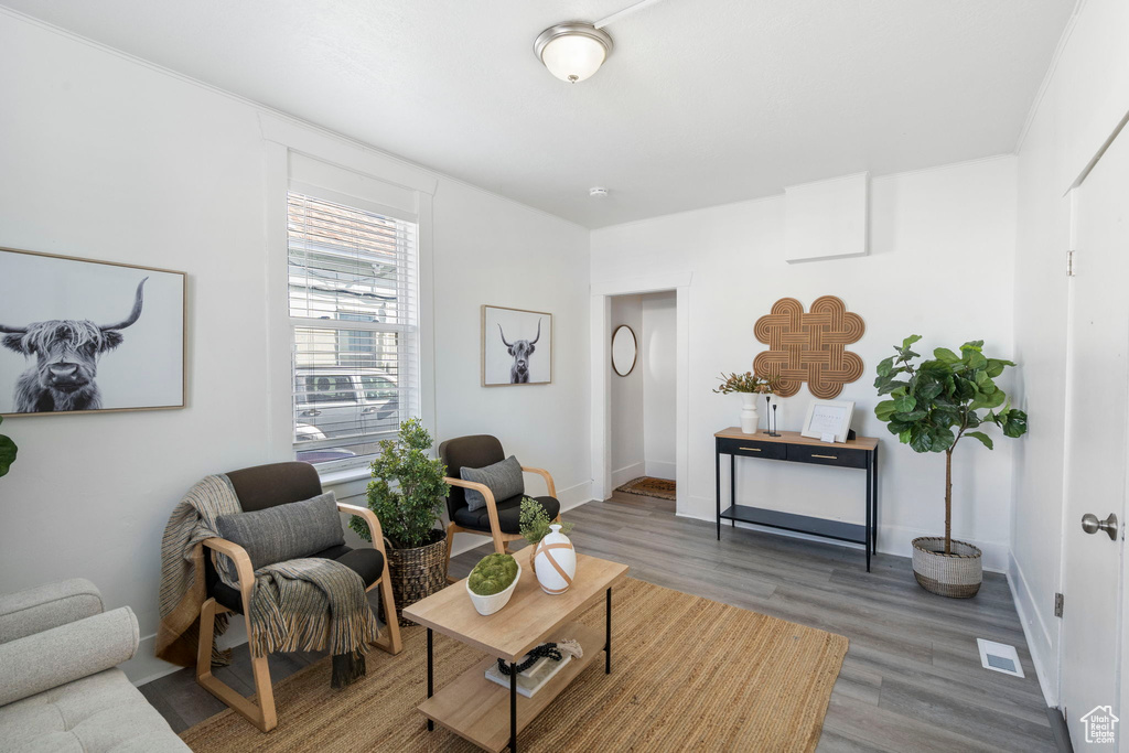 Living area featuring dark hardwood / wood-style floors