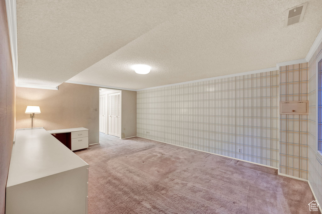 Interior space featuring light colored carpet and a textured ceiling