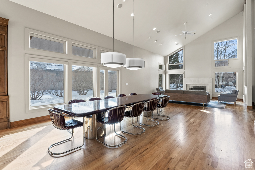 Dining space featuring light hardwood / wood-style flooring, high vaulted ceiling, and ceiling fan