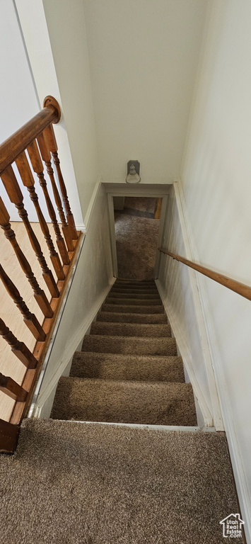 Stairway featuring carpet flooring