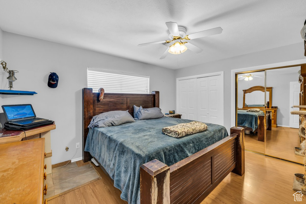 Bedroom featuring ceiling fan, light wood-type flooring, and multiple closets