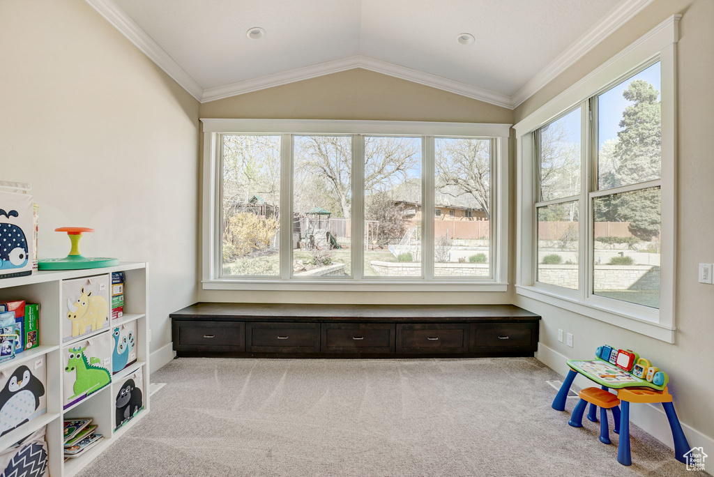 Playroom featuring light colored carpet, lofted ceiling, crown molding, and a wealth of natural light