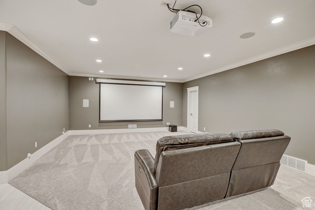 Cinema room featuring ornamental molding and light colored carpet