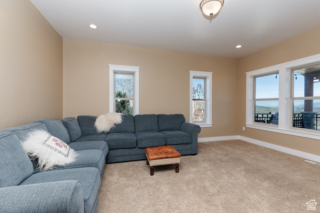 Living room featuring light carpet