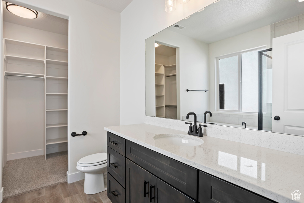 Bathroom featuring toilet, hardwood / wood-style flooring, and large vanity