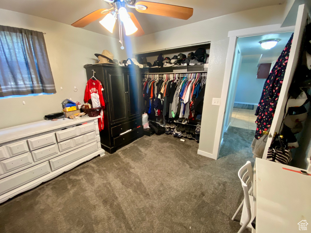 Spacious closet featuring ceiling fan and dark carpet