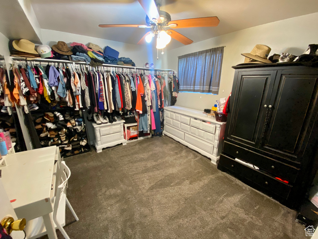 Walk in closet featuring ceiling fan and dark carpet