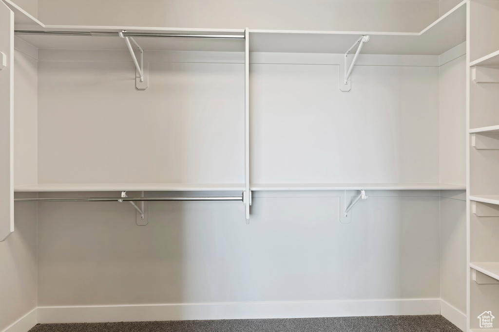 Spacious closet featuring carpet floors