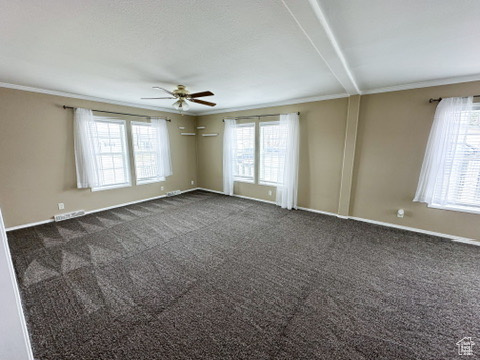 Spare room with beamed ceiling, dark colored carpet, ceiling fan, and crown molding