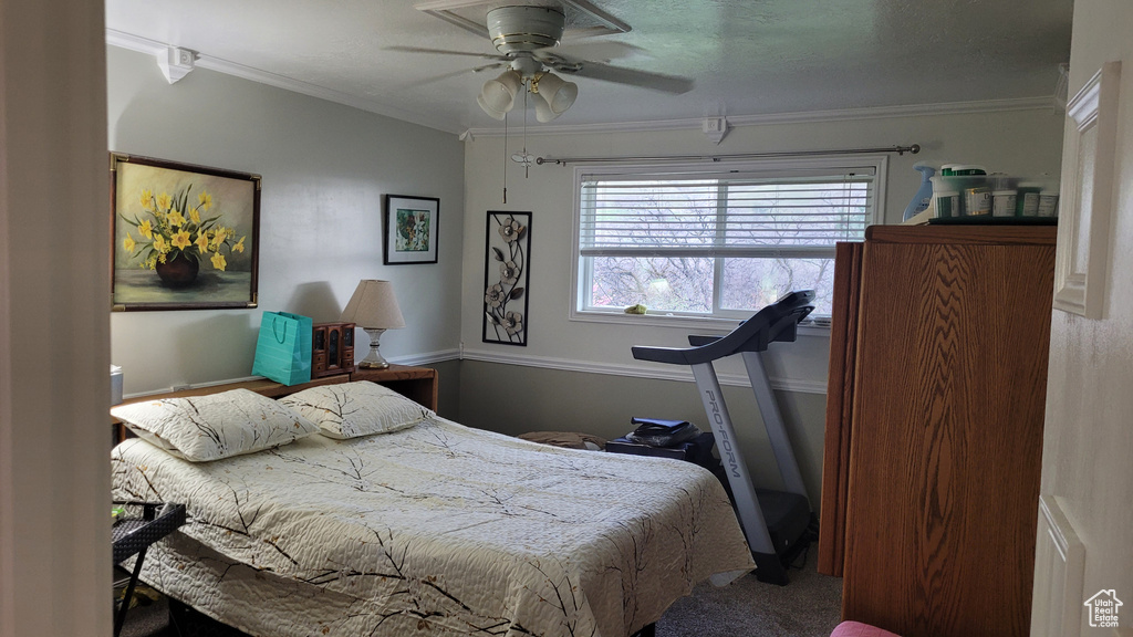 Carpeted bedroom with crown molding and ceiling fan