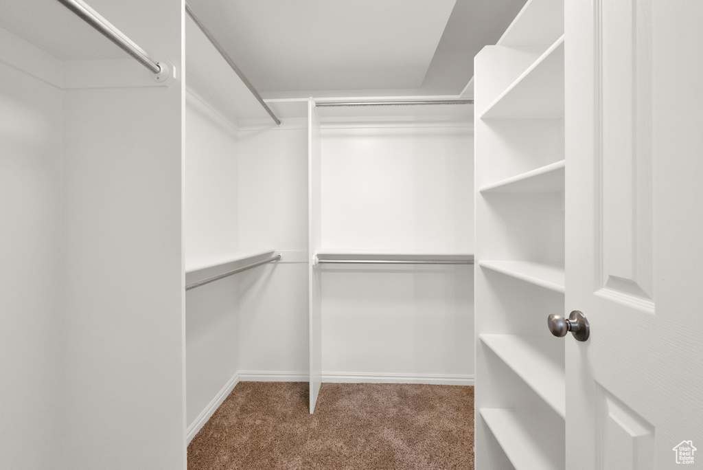 Spacious closet featuring carpet floors