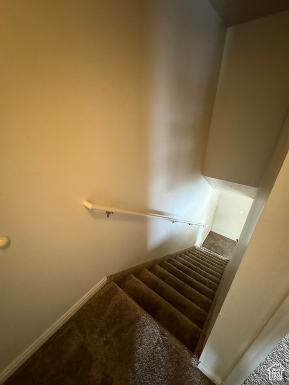 Stairs with carpet