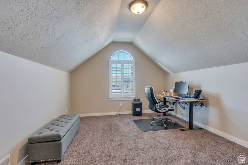 Carpeted office space featuring lofted ceiling and a textured ceiling