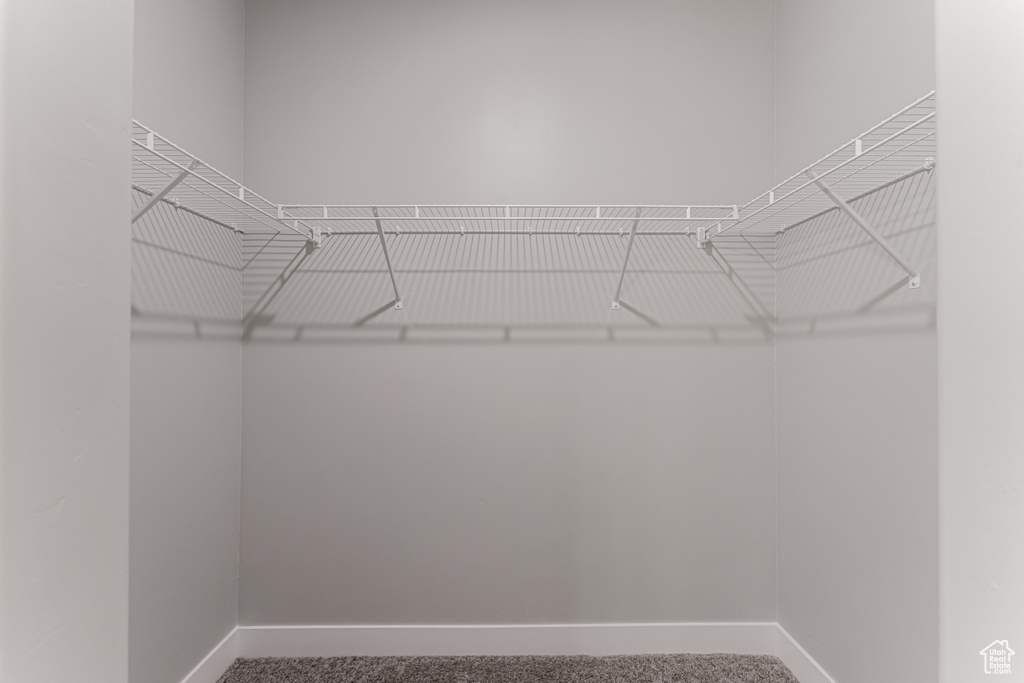 Spacious closet with carpet