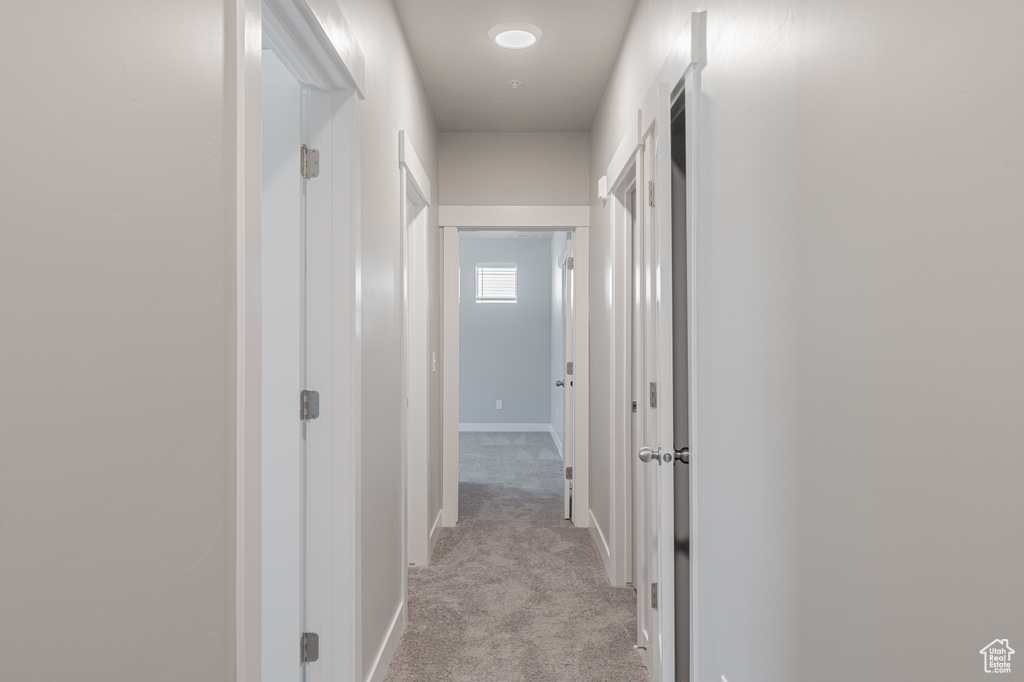 Hallway featuring light colored carpet