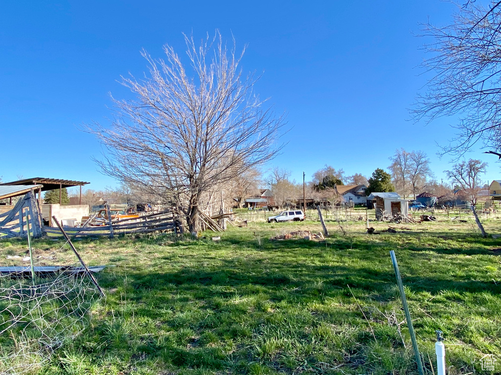 View of yard with a shed