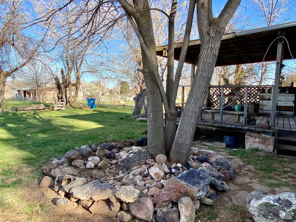 View of yard featuring a wooden deck