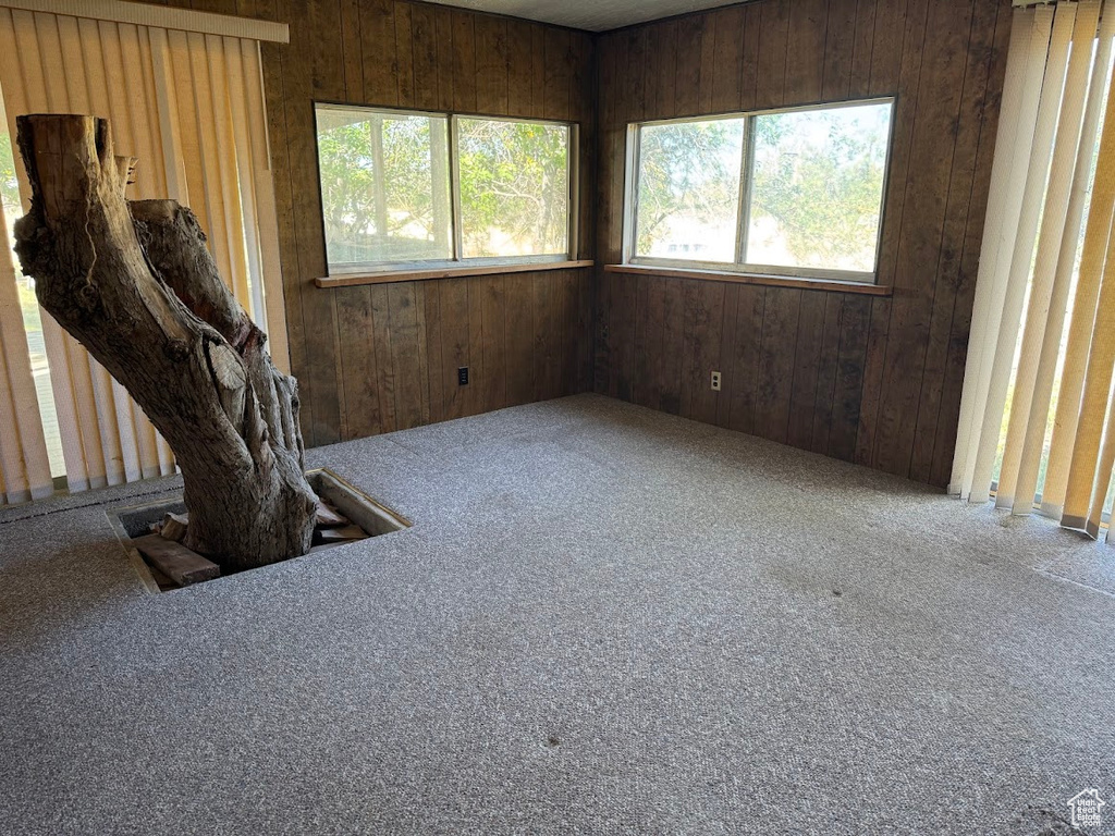 Interior space featuring plenty of natural light and wood walls