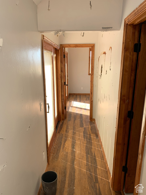 Hallway with dark hardwood / wood-style flooring and plenty of natural light
