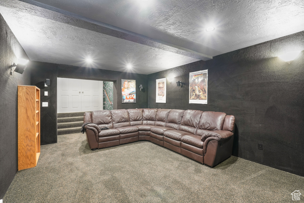 Home theater room featuring a textured ceiling and carpet
