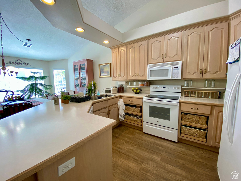 Kitchen featuring light brown cabinetry, dark hardwood / wood-style flooring, and white appliances