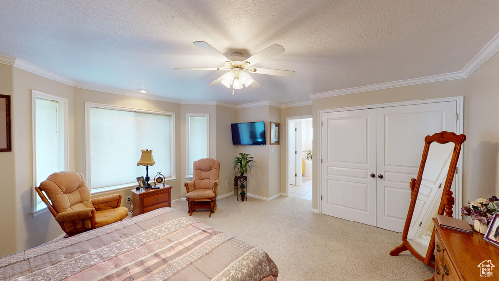 Bedroom with crown molding, a closet, ceiling fan, and a textured ceiling