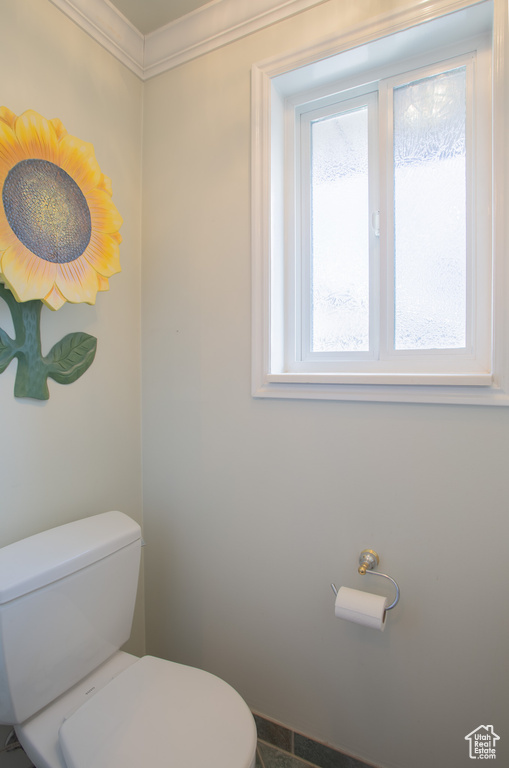 Bathroom with a healthy amount of sunlight and toilet