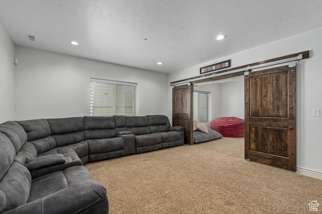 Living room with a textured ceiling, light carpet, and a barn door
