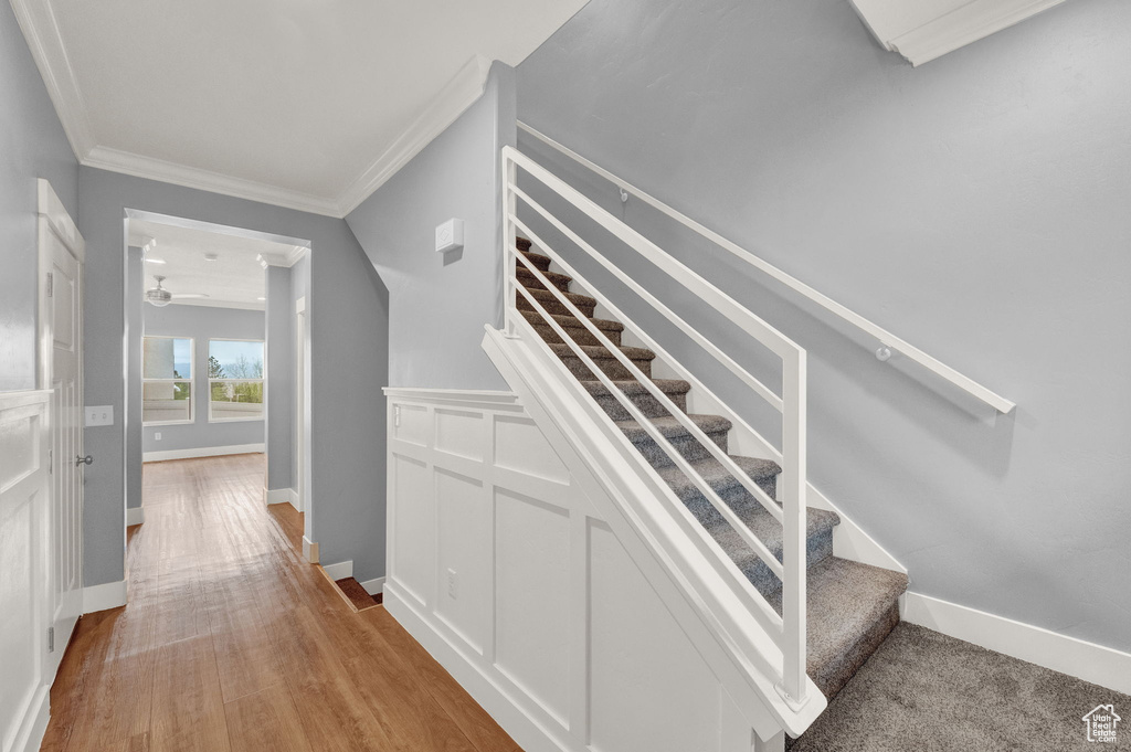 Stairway featuring ornamental molding, ceiling fan, and light wood-type flooring