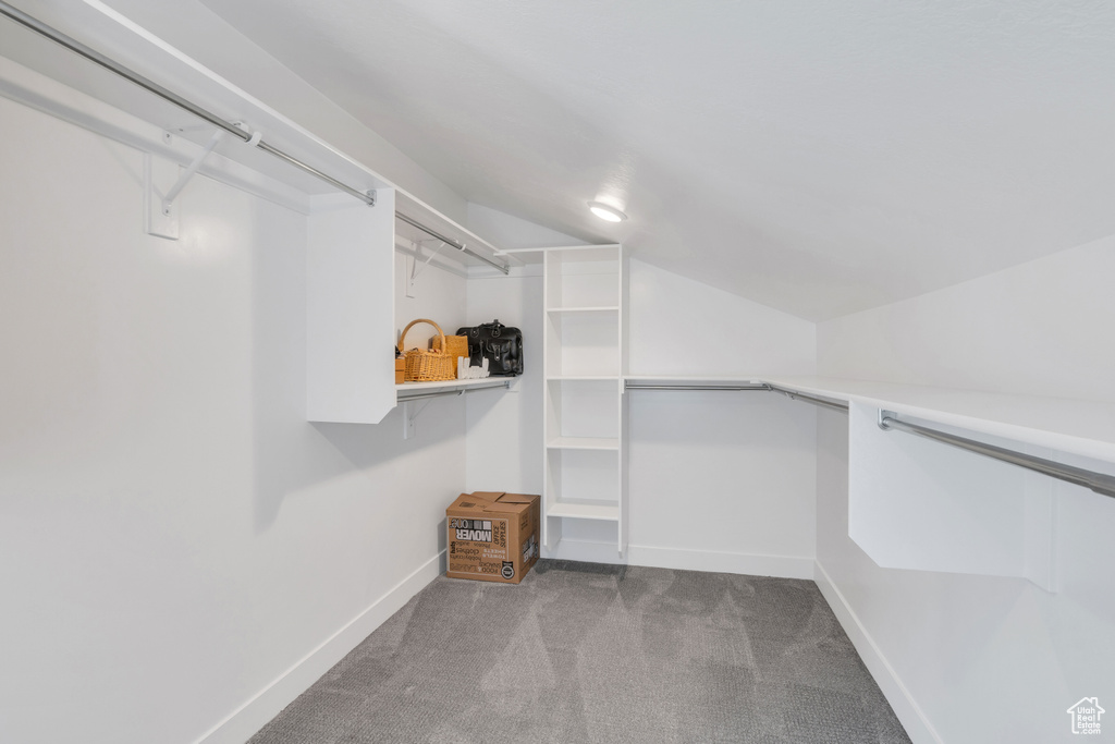 Walk in closet with lofted ceiling and dark colored carpet