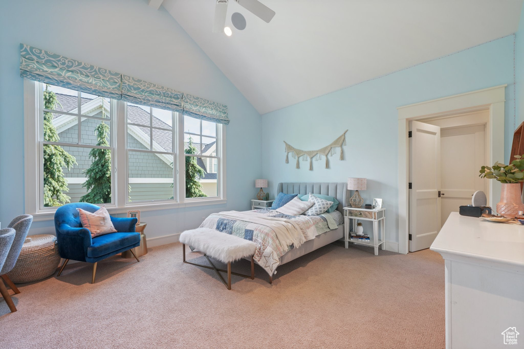 Carpeted bedroom featuring high vaulted ceiling, multiple windows, and ceiling fan