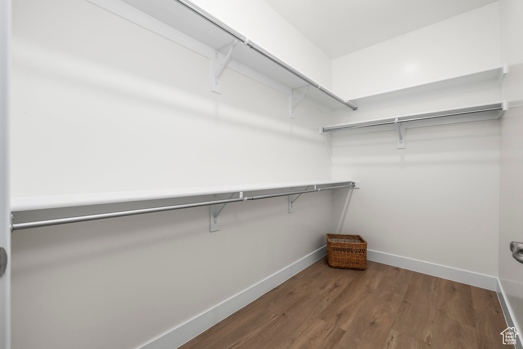 Spacious closet featuring hardwood / wood-style flooring