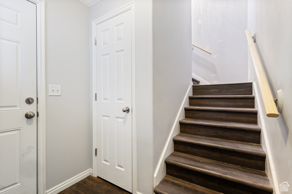 Staircase with ornamental molding and dark hardwood / wood-style floors