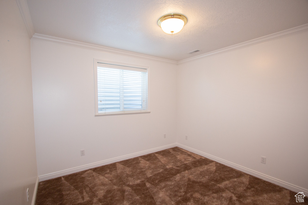 Carpeted spare room featuring ornamental molding