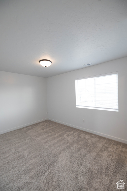 Spare room with plenty of natural light and carpet flooring