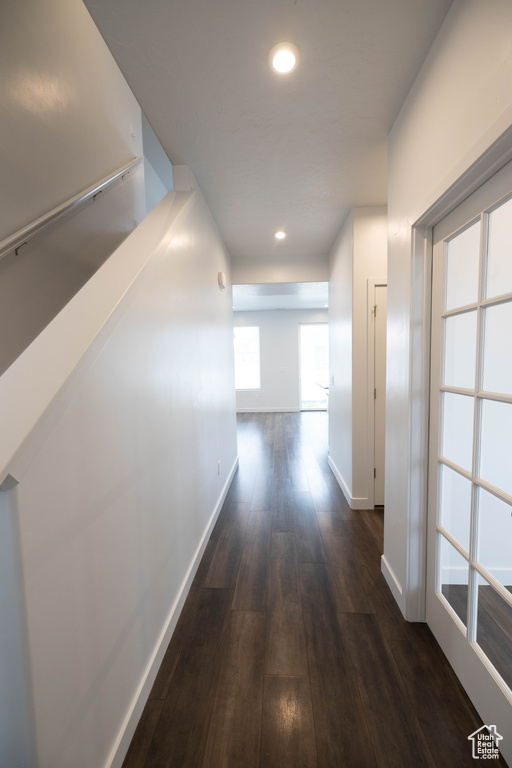 Hallway featuring plenty of natural light and dark hardwood / wood-style flooring
